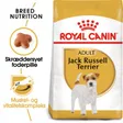 Royal Canin Jack Russell Terrier Adulte Croquettes Chien