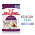 Royal Canin SENSORY Feel en gelée pour les chats difficiles