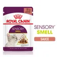 Royal Canin Sensory Smell en sauce pour chats exigeants