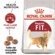 Royal Canin Fit 32 Croquettes Chat