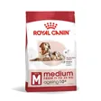 Royal Canin SHN Medium Ageing 10+