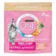 Purina One ONE Croquettes Junior de 1 à 12 mois au Saumon