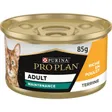 Pro Plan Adult Maintenance au poulet
