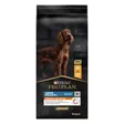 Pro Plan Adult Large Athletic Everyday Nutrition Poulet