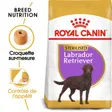 Royal Canin Labrador Adulte Stérilisé Croquettes Chien