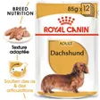 Royal Canin Teckel Adulte Mousse