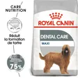 Royal Canin Dental Care Maxi Croquettes Chien