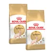 Royal Canin Sphynx Adulte Croquettes Chat