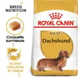 Royal Canin Teckel Adulte Croquettes Chien