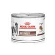 Royal Canin RECOVERY vétérinaire