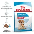 Royal Canin Medium Starter Croquettes Chien