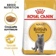 Royal Canin British Shorthair Adulte Croquettes Chat