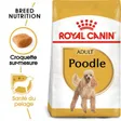 Royal Canin Caniche Adulte Croquettes Chien