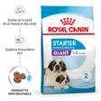 Royal Canin Giant Starter Croquettes Chien