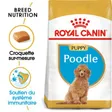 Royal Canin BHN Poodle Puppy