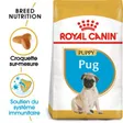Royal Canin Carlin Chiot Croquettes Chien