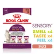 Royal Canin Sensory Smell Taste Feel Multipack en sauce