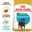 Royal Canin Rottweiler Puppy