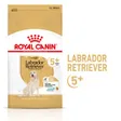 Royal Canin Labrador Retriever 5+ Adult