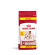 Royal Canin Medium Adulte Croquettes Chien 15+ gratuite