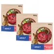 Purina One Mini Adult Riche en boeuf