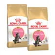 Royal Canin Maine Coon Chaton Croquettes Chat