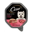 Cesar classique Veau et volaille