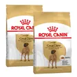 Royal Canin Dogue Allemand Adulte
