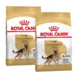 Royal Canin Berger Allemand Adulte Croquettes Chien