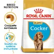 Royal Canin Cocker Chiot Croquettes Chien