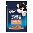 Felix Aussi bon que beau Saumon