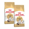 Royal Canin Ragdoll Adulte