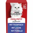 Gourmet Mon Petit Intense avec thon, saumon, truite