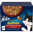 Felix Sensations Gelées Variété de saveurs du pays