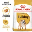 Royal Canin Bulldog Adulte Croquettes Chien