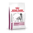 Royal Canin Veterinary Cardiac Croquettes Chien