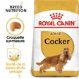 Royal Canin Cocker Adulte Croquettes Chien