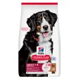 Hills Croquettes pour chien Science Plan, Large Breed Adult avec de l'agneau et du riz
