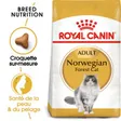 Royal Canin Norvégien Adulte Croquettes Chat