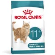 Royal Canin croquettes pour chat, Senior, Vieillissement 11+