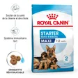 Royal Canin Maxi Starter Croquettes Chien