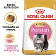 Royal Canin Persian Chaton Croquettes Chat