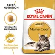 Royal Canin Maine Coon Adulte Croquettes Chat