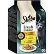 Sheba Fresh Cuisine nourriture humide pour chat adulte multipack Taste of Rome