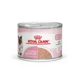 Royal Canin Mother & Babycat Mousse