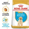 Royal Canin Labrador Retriever Chiot Croquettes Chien