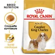 Royal Canin Cavalier King Charles Adulte Croquettes Chien