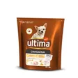 Ultima Petit Chihuahua avec du Poulet