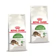 Royal Canin Outdoor Croquettes Chat