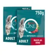 Purina One Bifensis Adult Boeuf